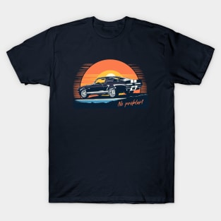 No problem. Travel by car. T-Shirt